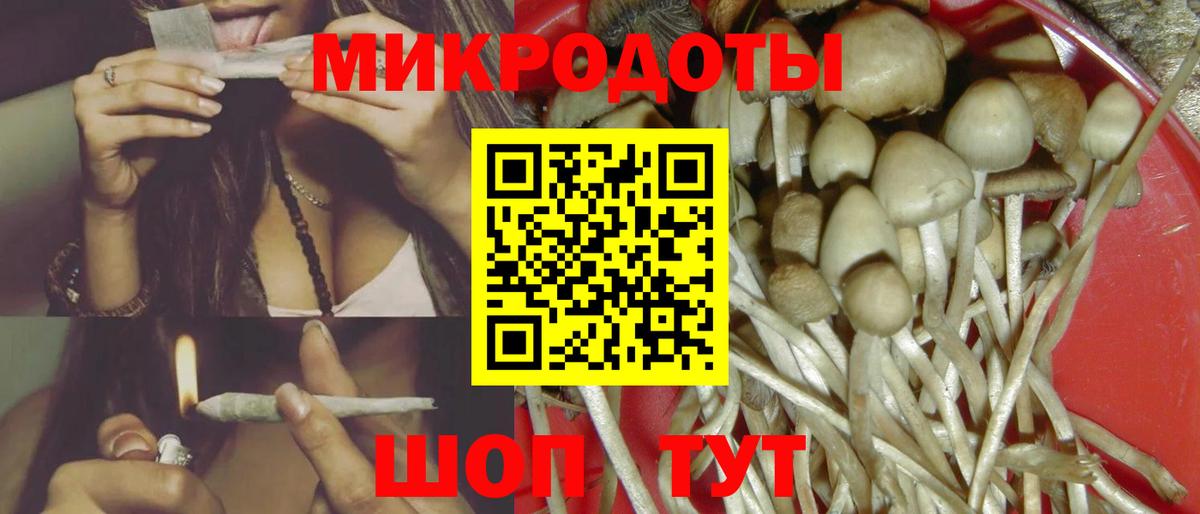 Верхняя Пышма  Псилоцибиновые грибы MAGIC MUSHROOMS  Вход с VPN 