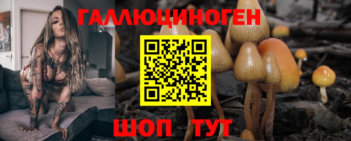 Галлюциногенные грибы GOLDEN TEACHER Верхняя Пышма